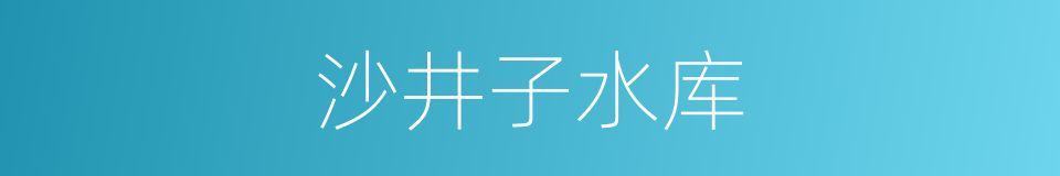 沙井子水库的同义词