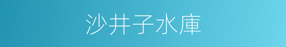 沙井子水庫的同義詞