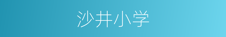 沙井小学的同义词