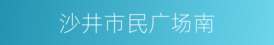 沙井市民广场南的同义词