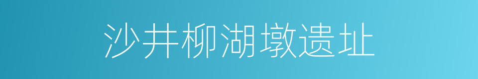 沙井柳湖墩遗址的同义词