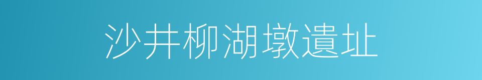 沙井柳湖墩遺址的同義詞