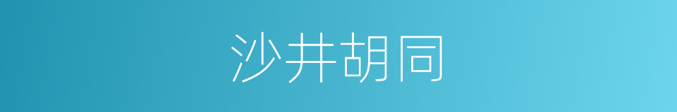 沙井胡同的同义词