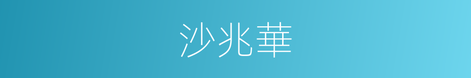 沙兆華的同義詞