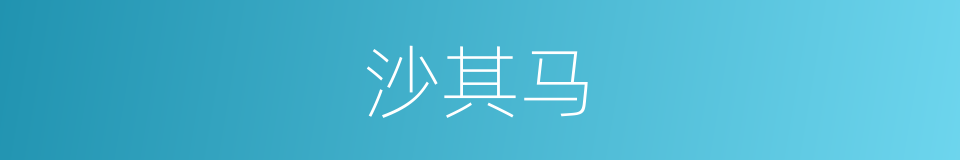 沙其马的同义词