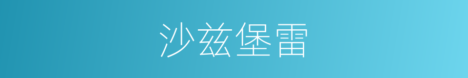 沙兹堡雷的同义词