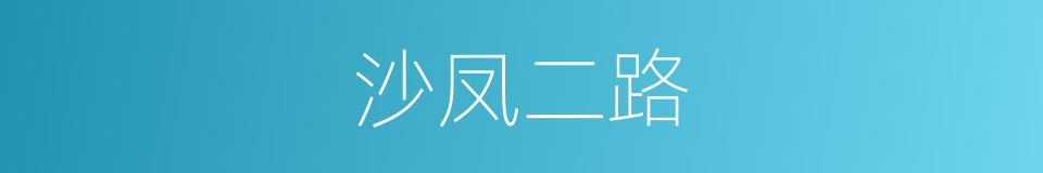 沙凤二路的同义词