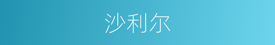 沙利尔的同义词
