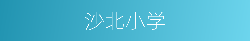 沙北小学的同义词