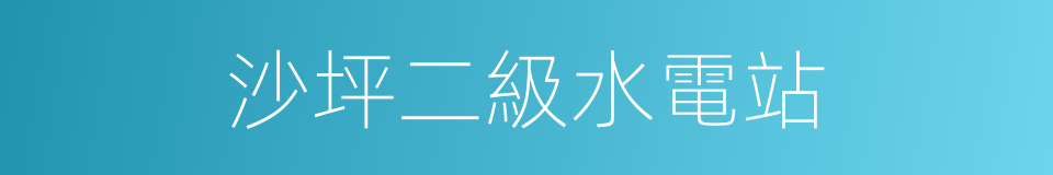 沙坪二級水電站的同義詞