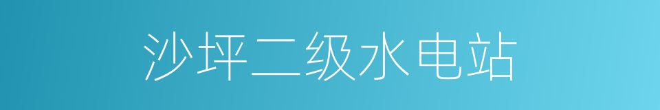 沙坪二级水电站的同义词