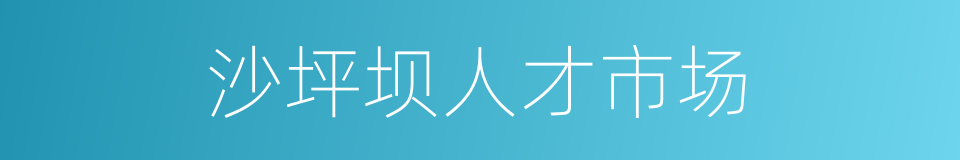 沙坪坝人才市场的同义词