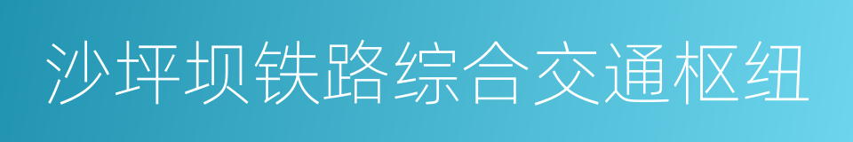 沙坪坝铁路综合交通枢纽的同义词