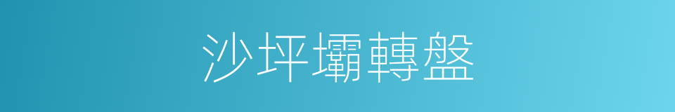 沙坪壩轉盤的同義詞