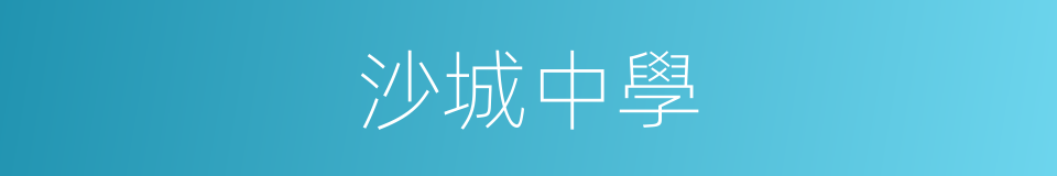 沙城中學的同義詞