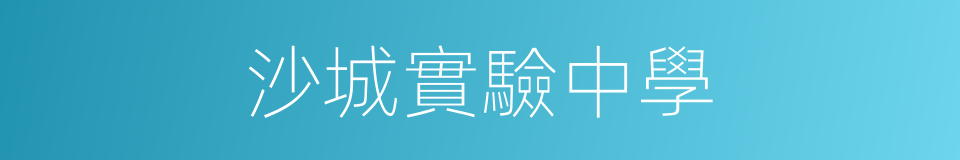 沙城實驗中學的同義詞