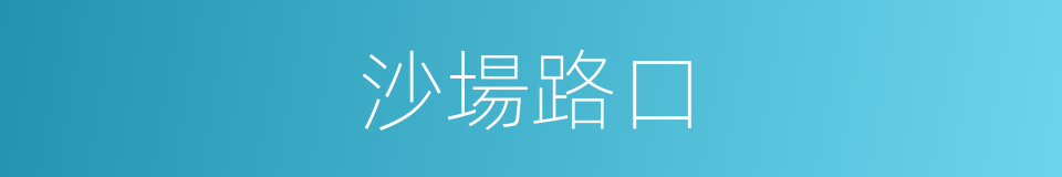 沙場路口的同義詞