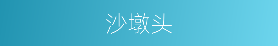 沙墩头的同义词