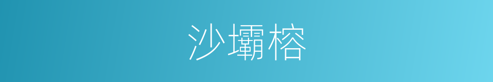 沙壩榕的同義詞