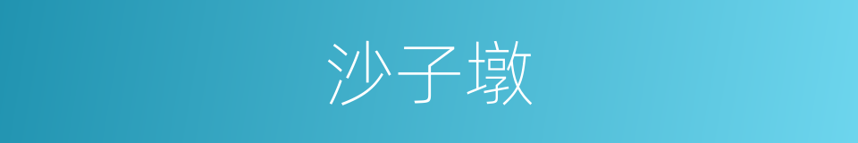 沙子墩的同义词