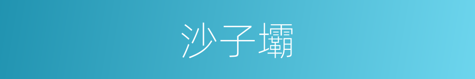 沙子壩的同義詞