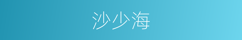 沙少海的同义词