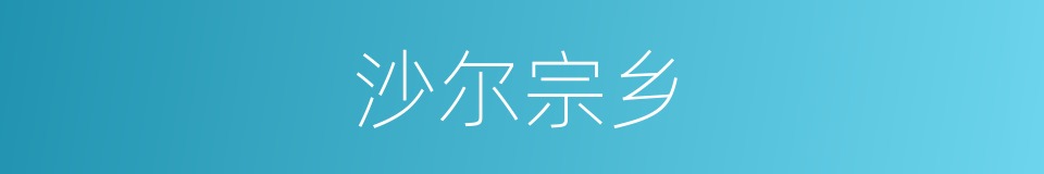 沙尔宗乡的同义词