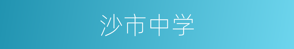 沙市中学的同义词