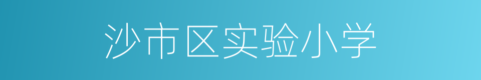 沙市区实验小学的同义词