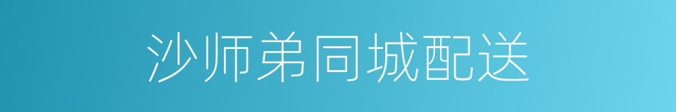 沙师弟同城配送的同义词