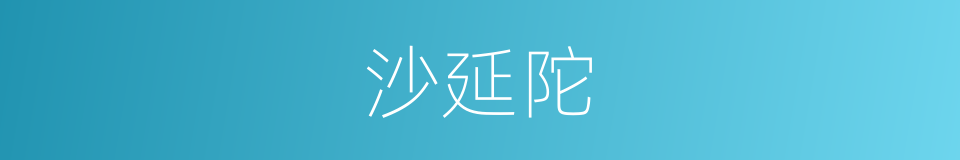 沙延陀的同义词