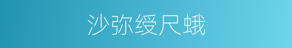 沙弥绶尺蛾的同义词