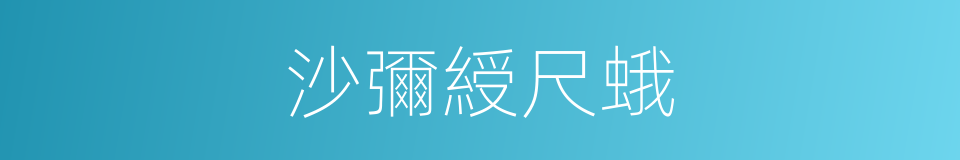 沙彌綬尺蛾的同義詞