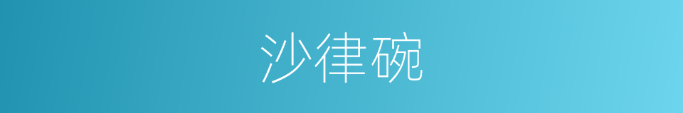 沙律碗的同义词