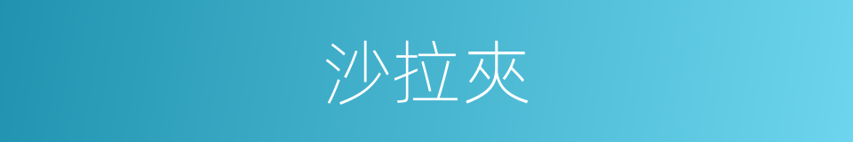 沙拉夾的同義詞