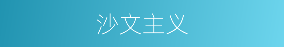 沙文主义的意思
