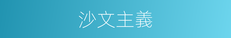 沙文主義的意思