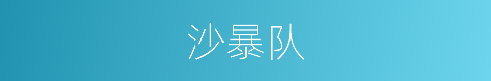 沙暴队的同义词