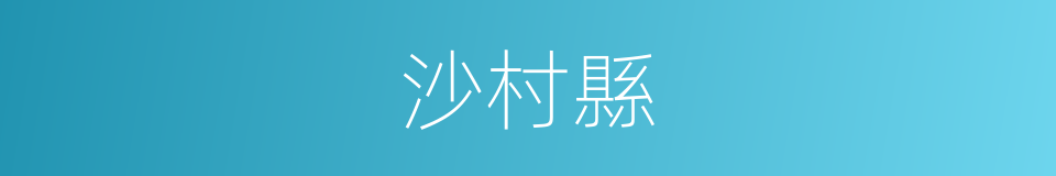 沙村縣的同義詞