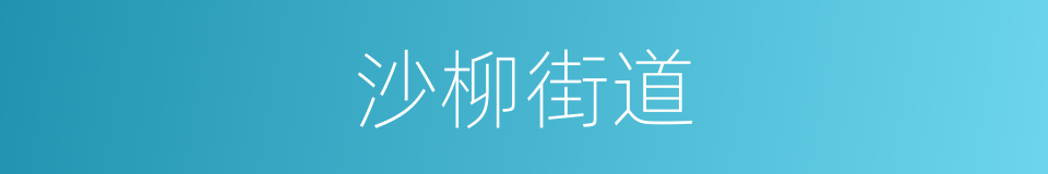 沙柳街道的同义词