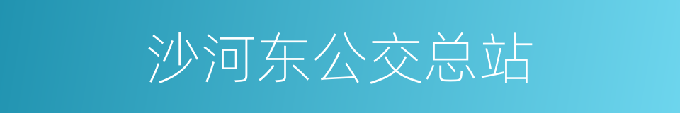 沙河东公交总站的同义词