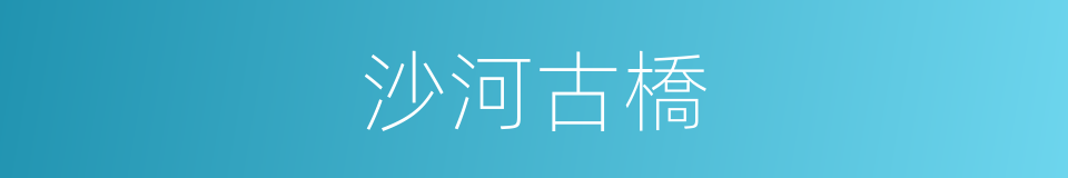 沙河古橋的同義詞