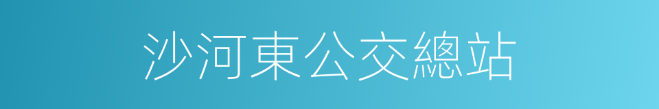 沙河東公交總站的同義詞