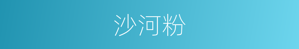 沙河粉的同义词