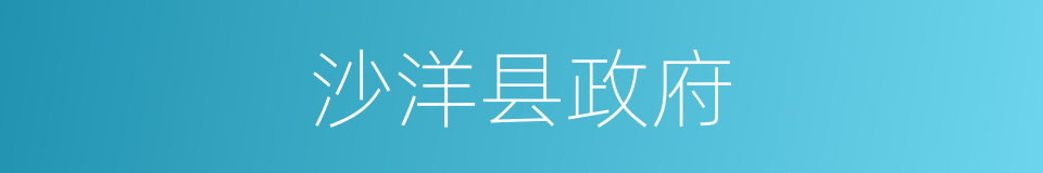 沙洋县政府的同义词