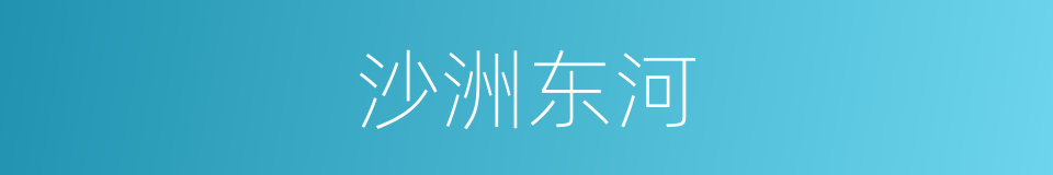 沙洲东河的同义词