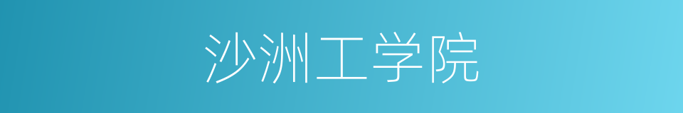 沙洲工学院的同义词