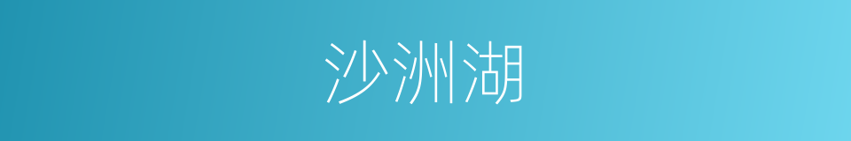 沙洲湖的同义词