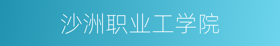 沙洲职业工学院的同义词