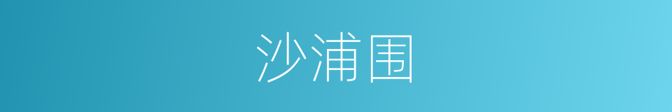 沙浦围的同义词